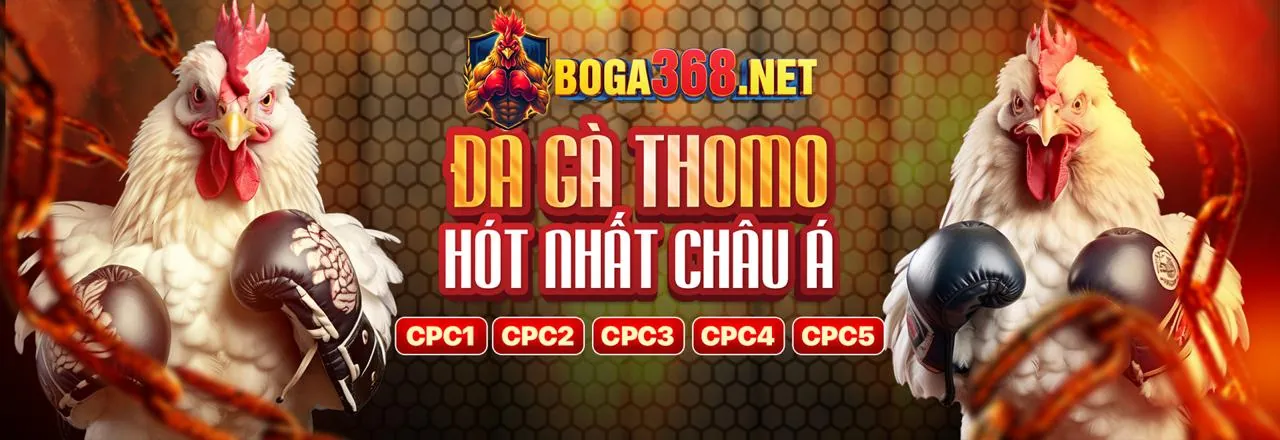Khuyến mãi chào mừng 2bong88 nhà cái