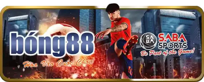 Bảo mật và riêng tư tại 2bong88 nhà cái